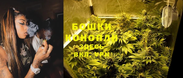 сатива Алагир