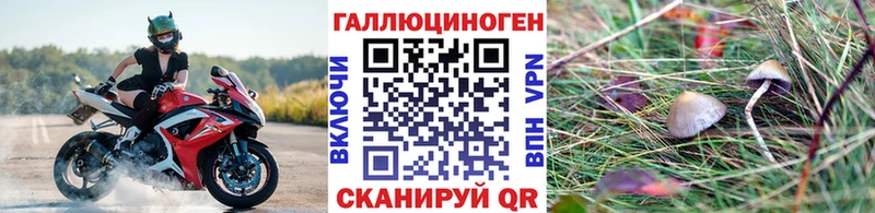 Псилоцибиновые грибы GOLDEN TEACHER  дарк нет официальный сайт  Заринск 
