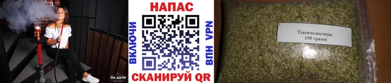 где купить наркотик  OMG как зайти  Бошки марихуана White Widow  Заринск 